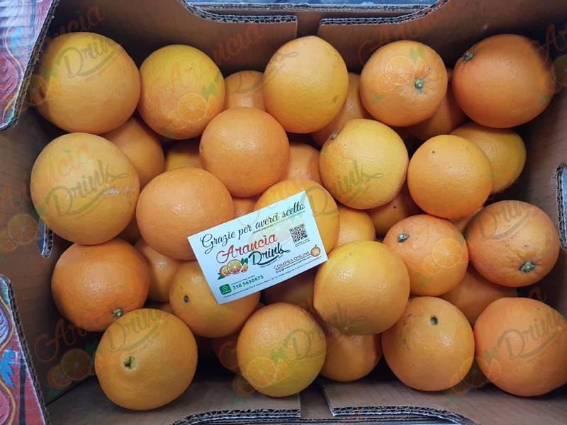 Arance Navel da Tavola (Solo Estero) 